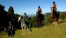Paradise Valley Ventures Horse Trekking
