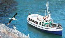  Monarch Wildlife Cruises – Dunedin 